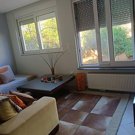 Appartamento Lefkothea'S House Atene Esterno foto