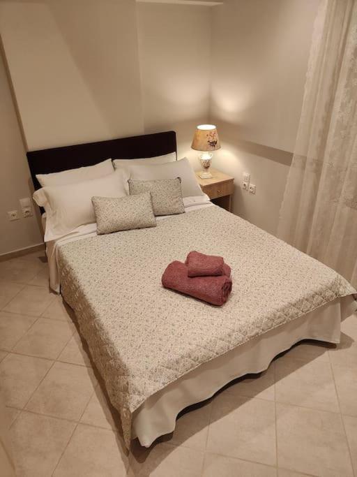 Appartamento Lefkothea'S House Atene Esterno foto